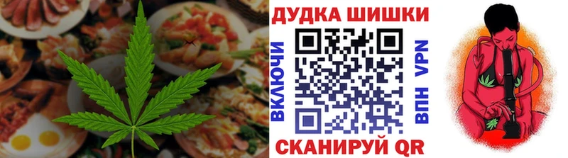 купить   Ельня  Canna-Cookies конопля 
